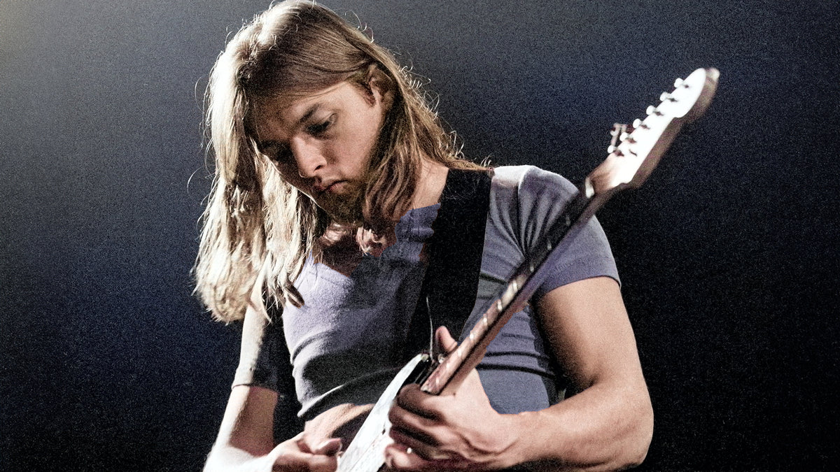 David Gilmour — signature guitars gear image